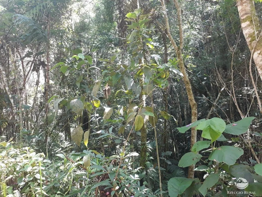 Sítio à venda de 70 ha em São José dos Campos, SP, Brasil