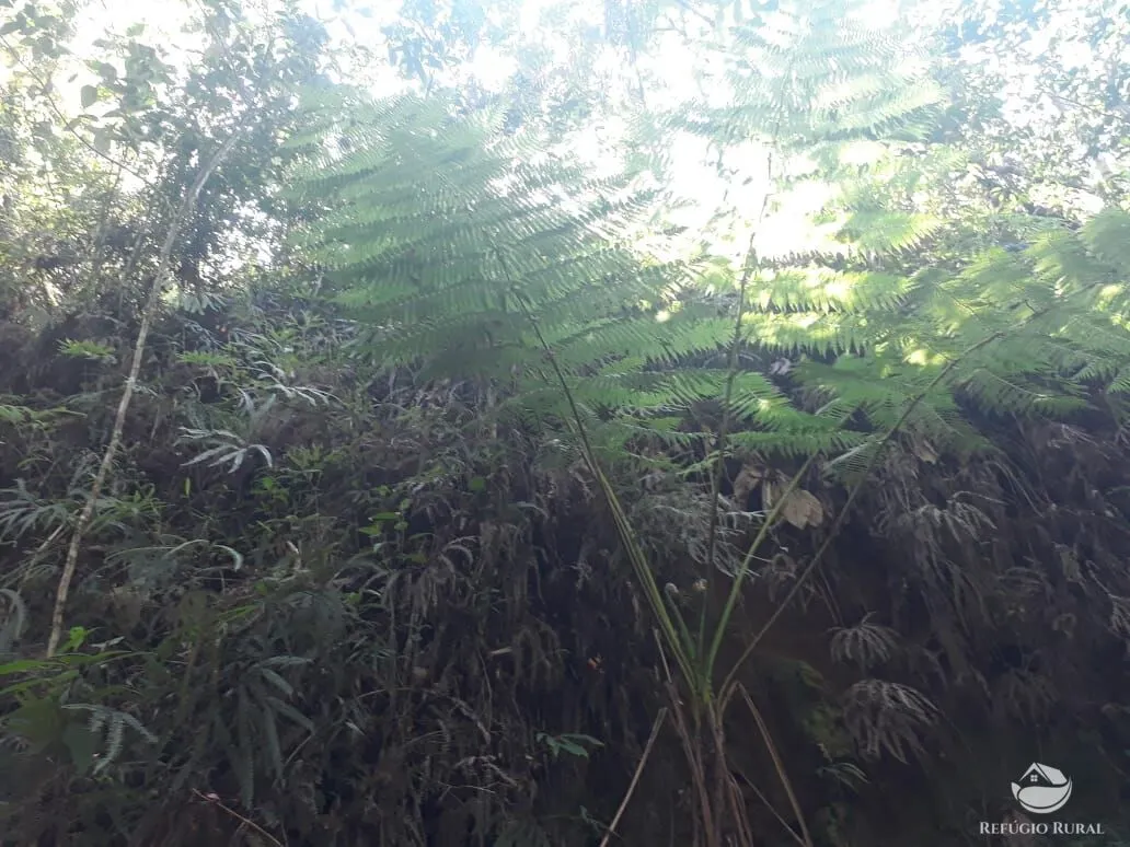 Sítio à venda de 70 ha em São José dos Campos, SP, Brasil