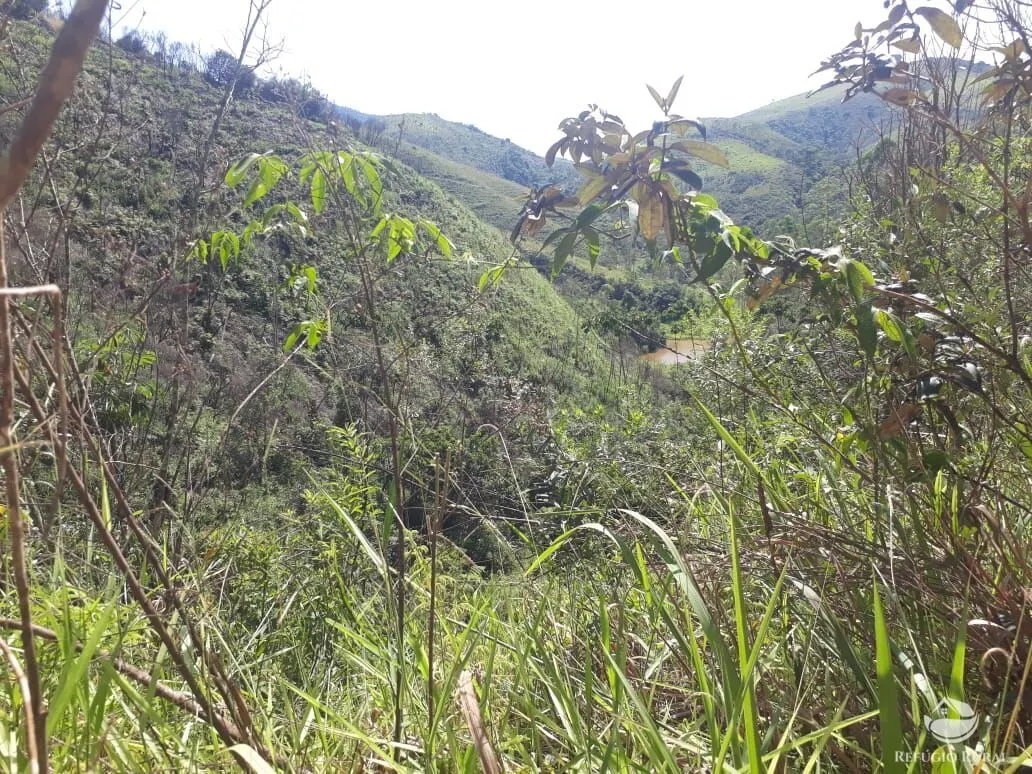 Sítio à venda de 70 ha em São José dos Campos, SP, Brasil