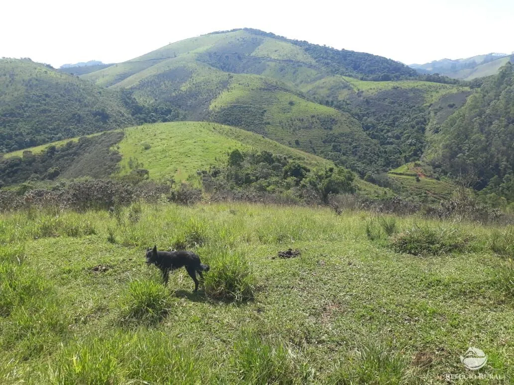 Sítio à venda de 70 ha em São José dos Campos, SP, Brasil