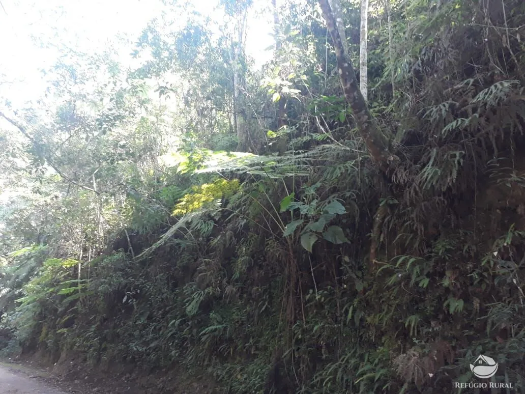 Sítio à venda de 70 ha em São José dos Campos, SP, Brasil