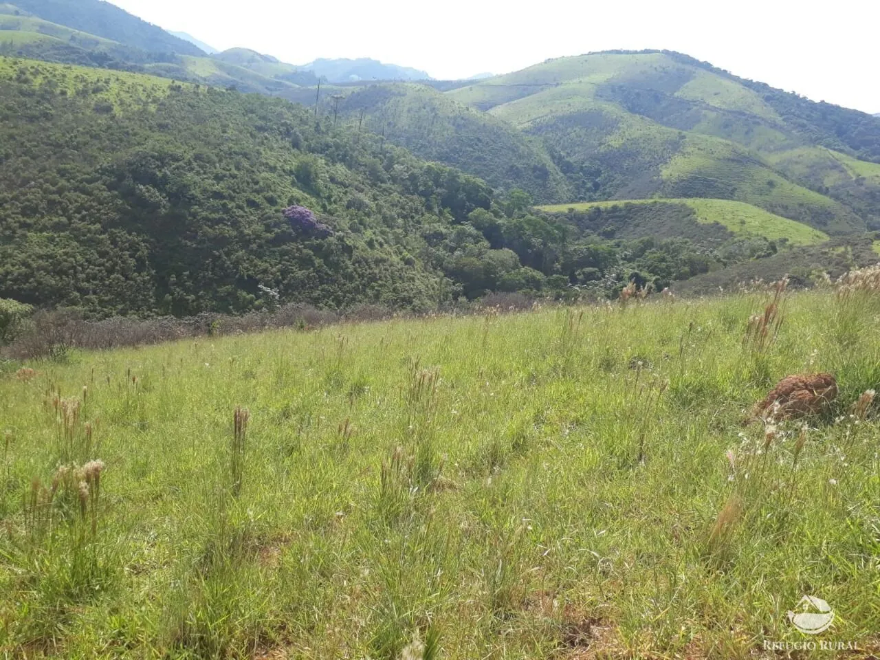 Sítio à venda de 70 ha em São José dos Campos, SP, Brasil