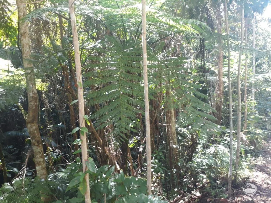 Sítio à venda de 70 ha em São José dos Campos, SP, Brasil