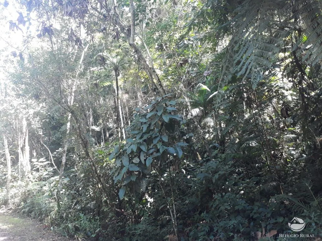 Sítio à venda de 70 ha em São José dos Campos, SP, Brasil