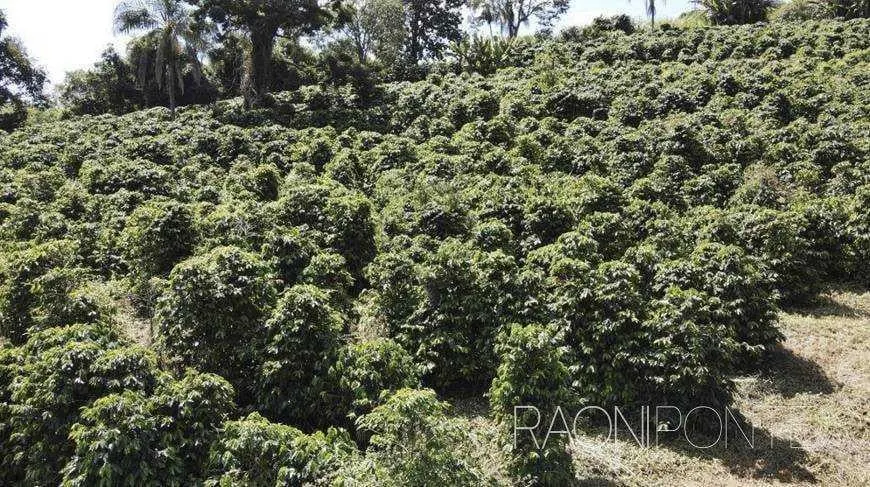 Fazenda à venda de 170 ha em Caconde, SP, Brasil