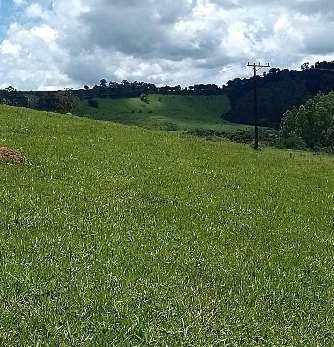 Fazenda à venda de 170 ha em Caconde, SP, Brasil