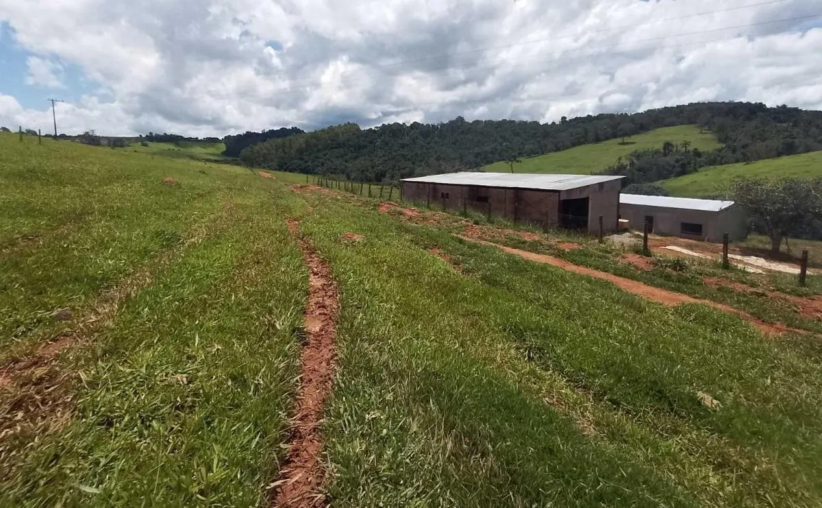 Fazenda à venda de 170 ha em Caconde, SP, Brasil