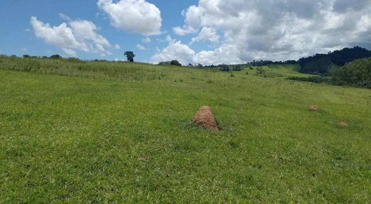 Fazenda à venda de 170 ha em Caconde, SP, Brasil