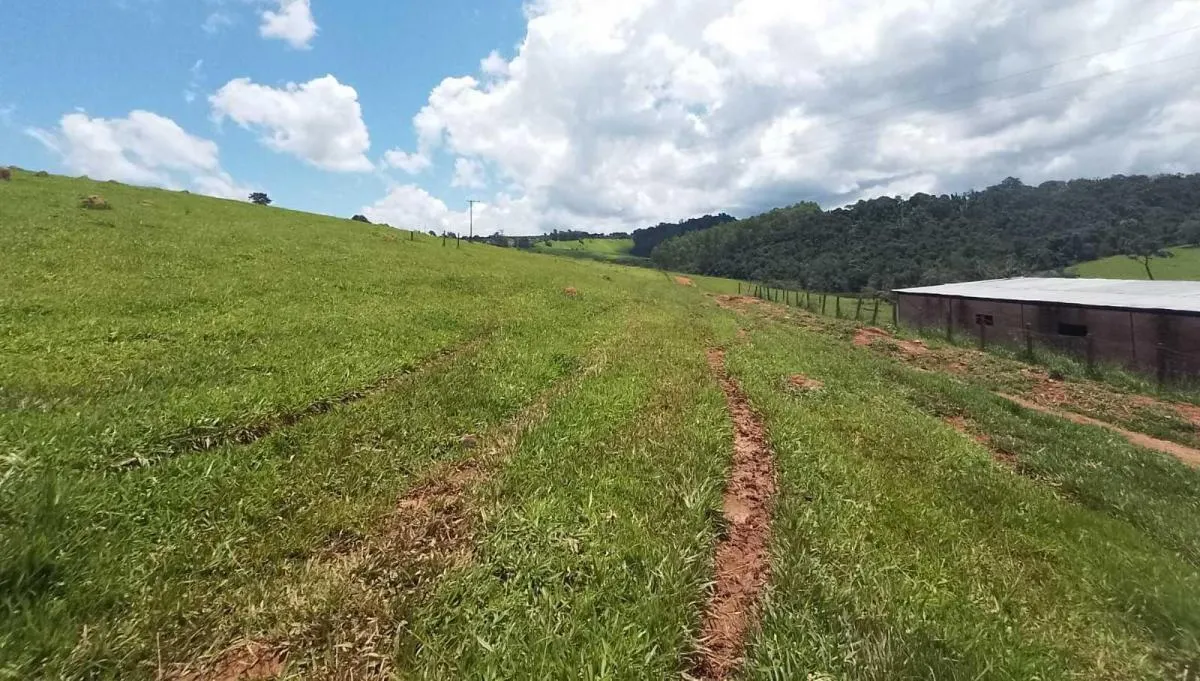 Fazenda à venda de 170 ha em Caconde, SP, Brasil