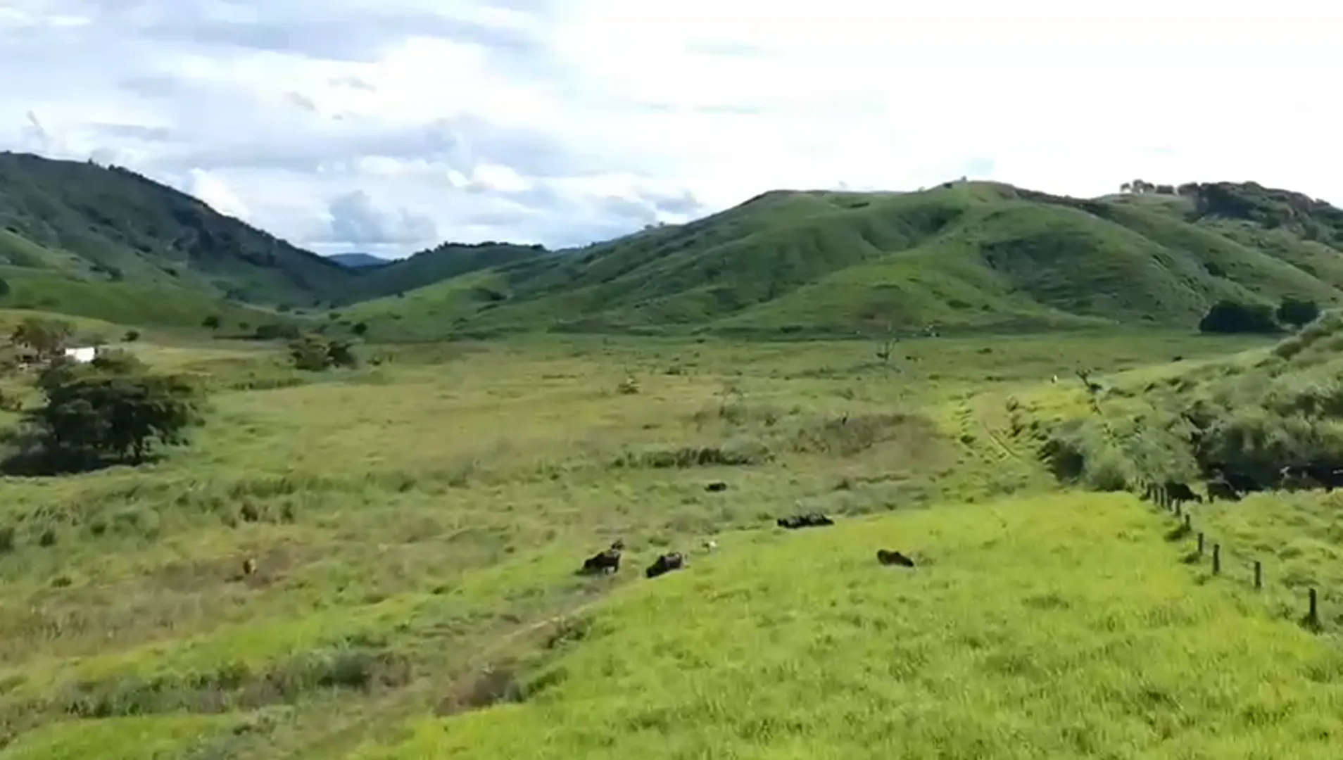 Fazenda à venda de 363 ha em Itanhomi, MG, Brasil