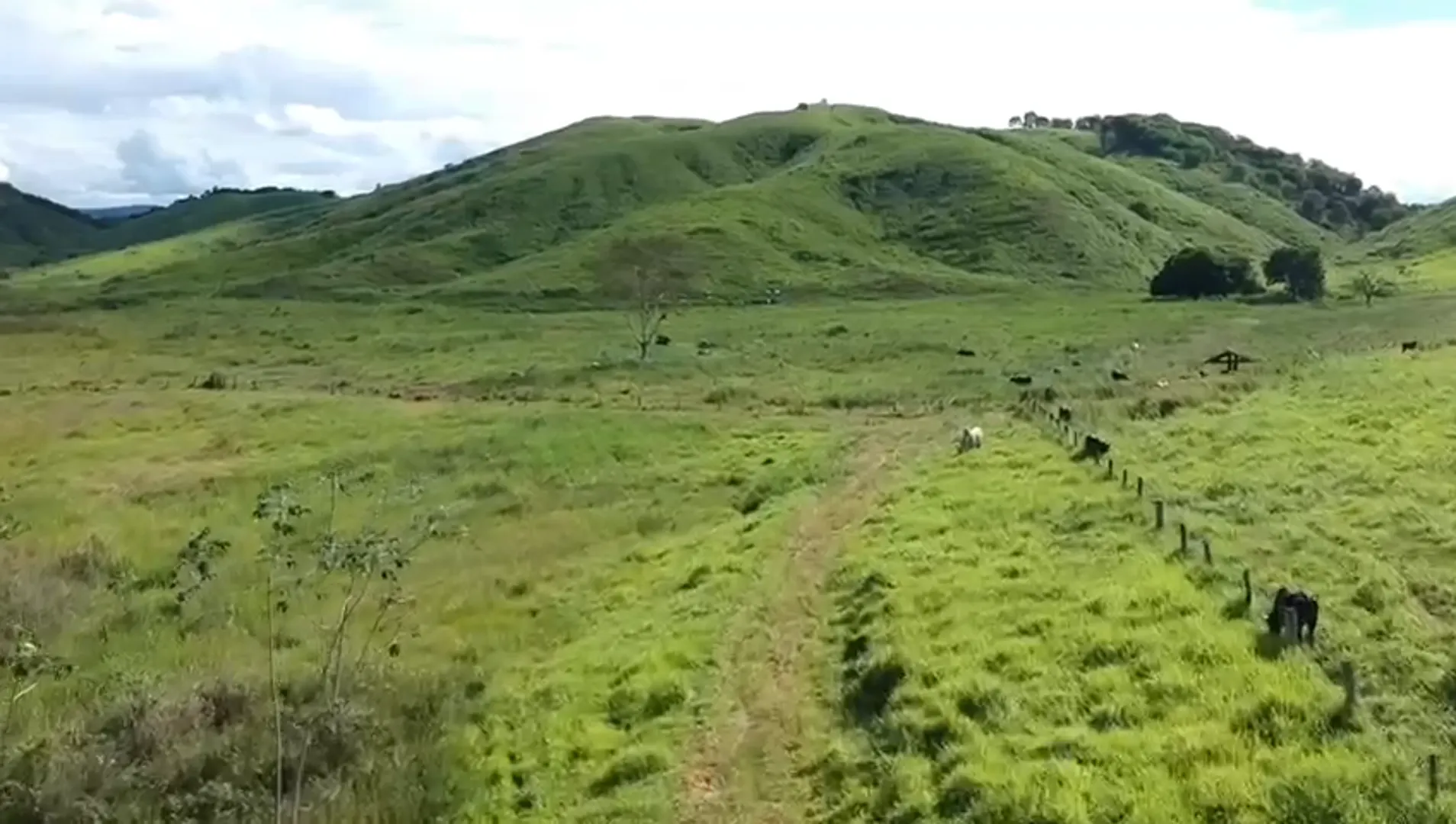 Fazenda à venda de 363 ha em Itanhomi, MG, Brasil