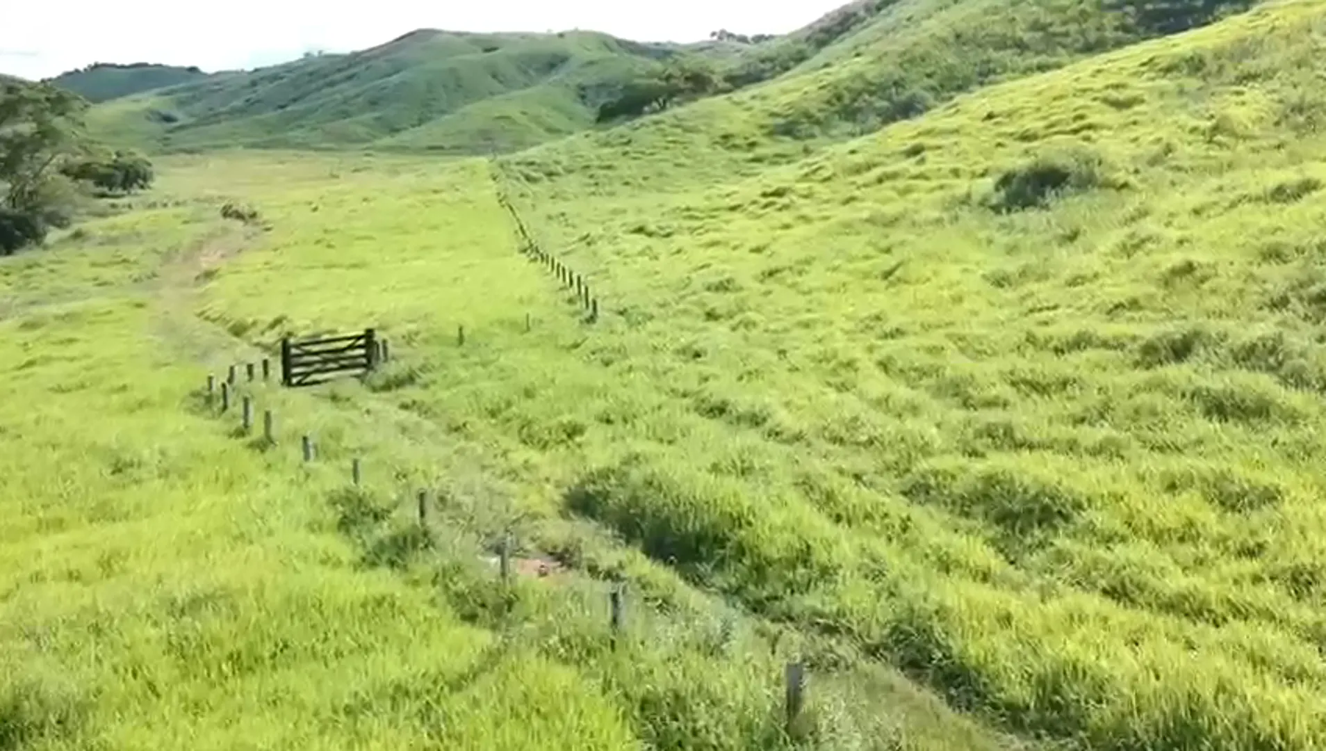 Fazenda à venda de 363 ha em Itanhomi, MG, Brasil