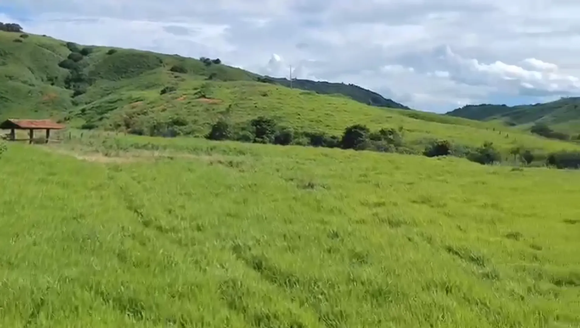 Fazenda à venda de 363 ha em Itanhomi, MG, Brasil