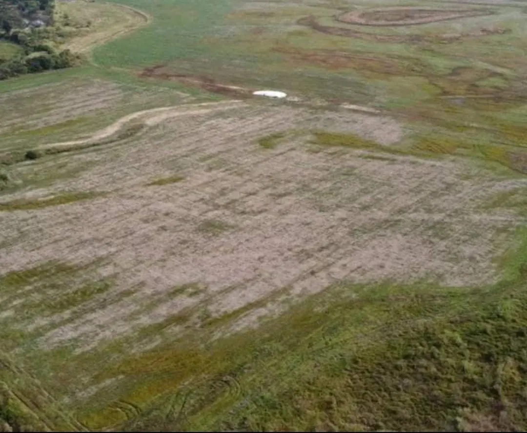 Fazenda à venda de 223 ha em Campina do Monte Alegre, SP, Brasil