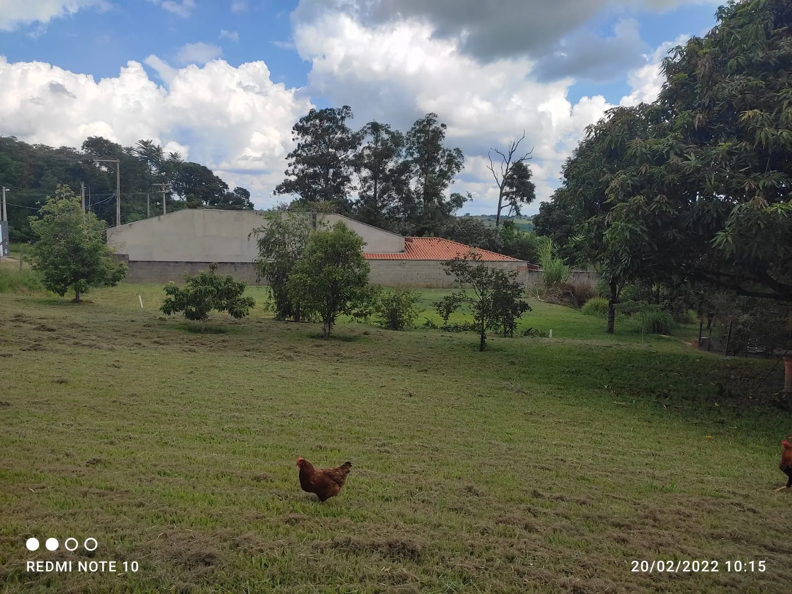 Chácara à venda de 2.455 m² em Limeira, SP, Brasil
