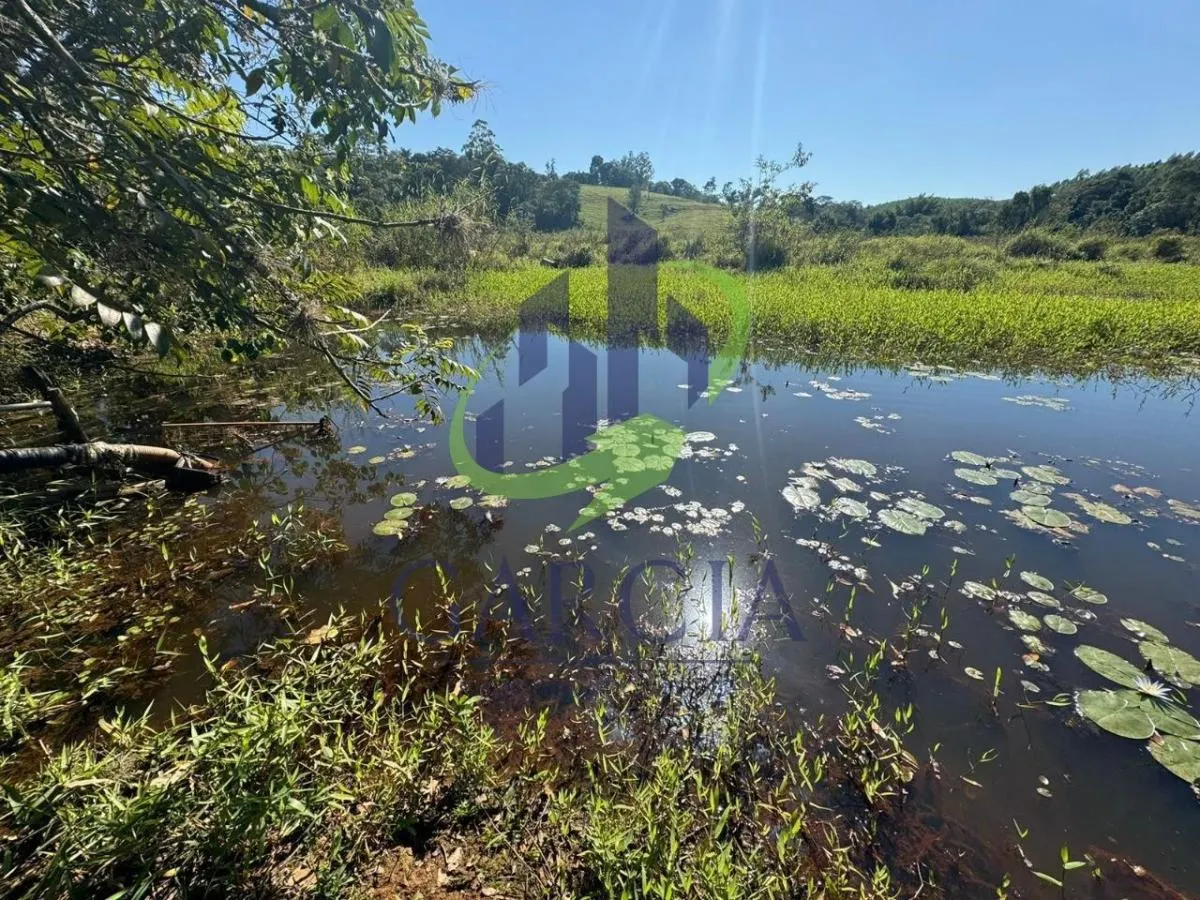 Sítio à venda de 4 ha em Mogi Guaçu, SP, Brasil