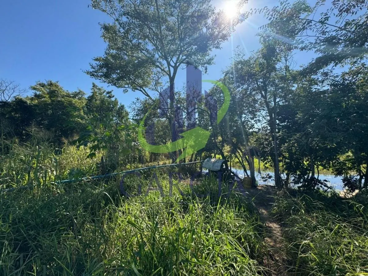 Sítio à venda de 4 ha em Mogi Guaçu, SP, Brasil
