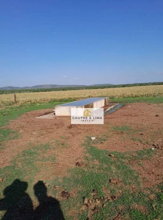 Fazenda à venda de 1.936 ha em Peixe, TO, Brasil