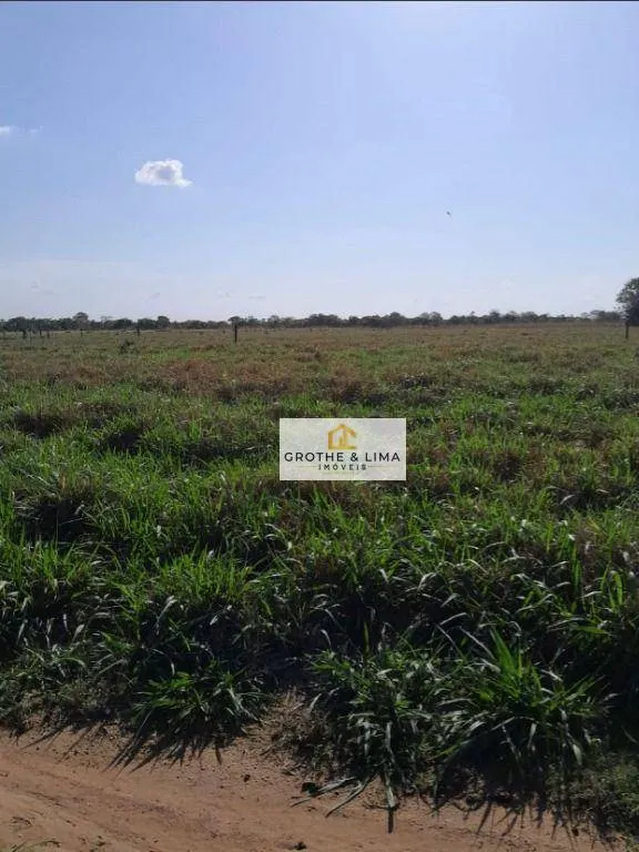 Fazenda à venda de 1.936 ha em Peixe, TO, Brasil