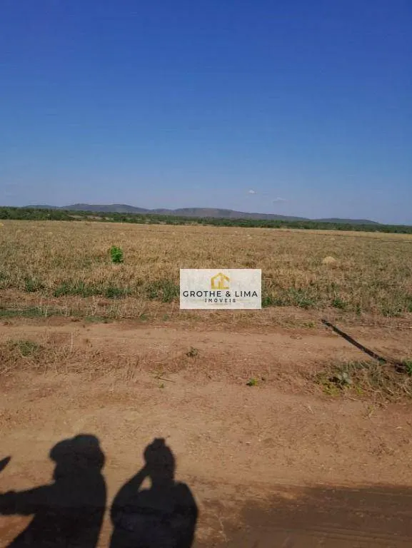 Fazenda à venda de 1.936 ha em Peixe, TO, Brasil