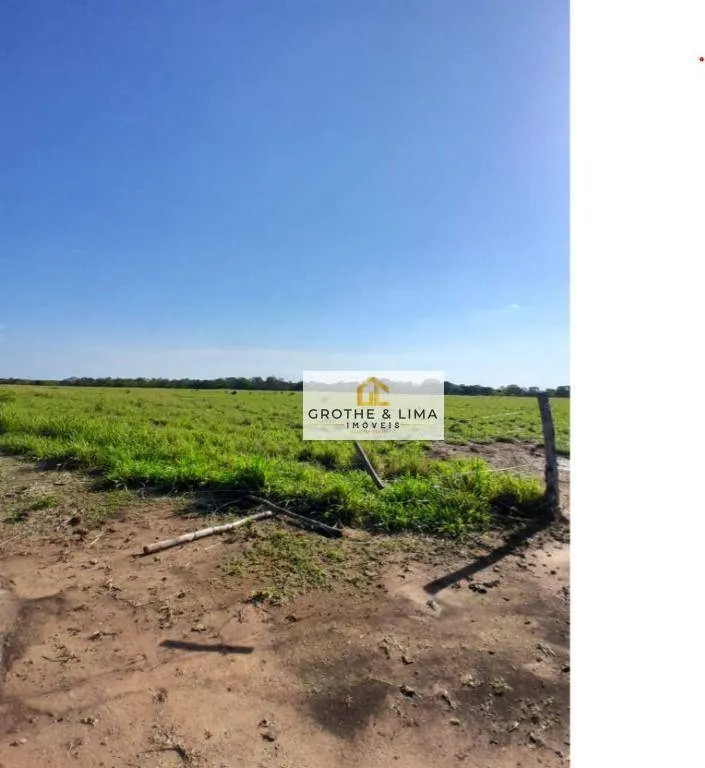 Fazenda à venda de 1.936 ha em Peixe, TO, Brasil