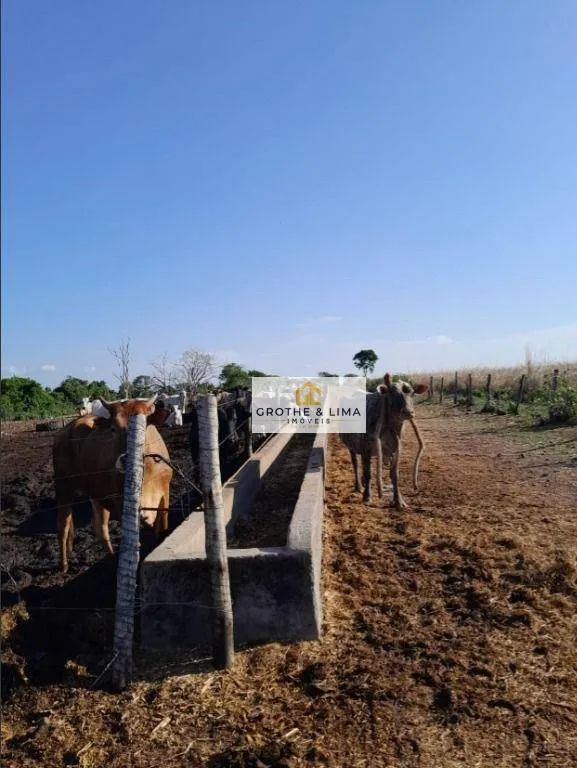 Fazenda à venda de 1.936 ha em Peixe, TO, Brasil