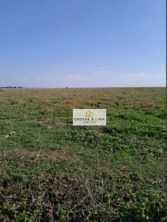 Fazenda à venda de 1.936 ha em Peixe, TO, Brasil