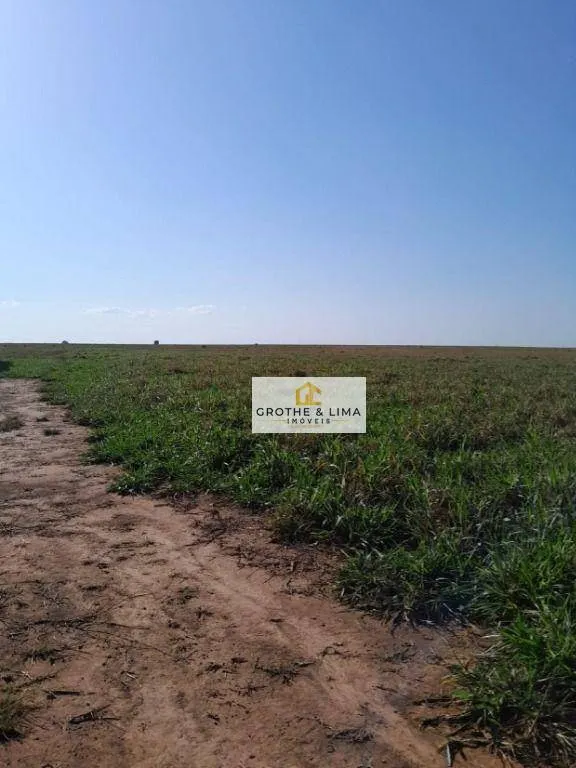 Fazenda à venda de 1.936 ha em Peixe, TO, Brasil