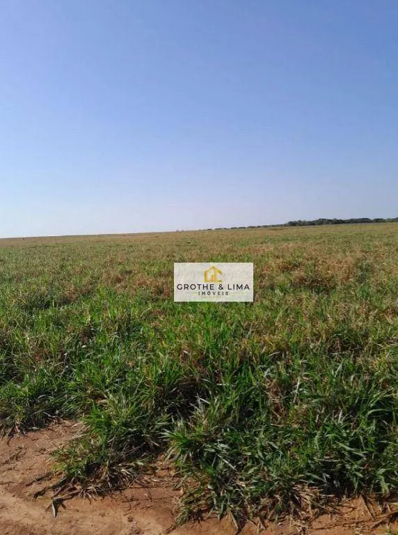 Fazenda à venda de 1.936 ha em Peixe, TO, Brasil