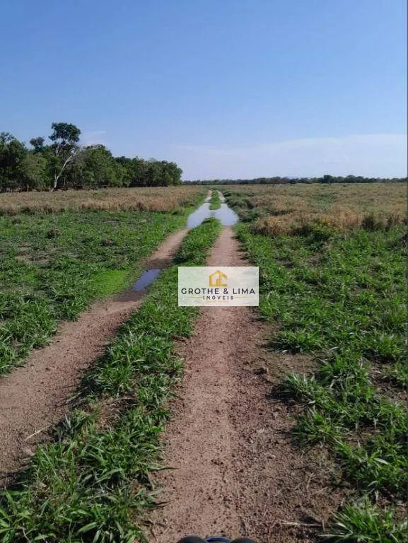 Fazenda à venda de 1.936 ha em Peixe, TO, Brasil