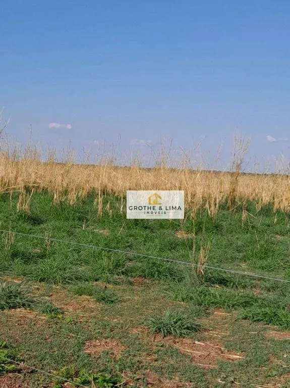 Fazenda à venda de 1.936 ha em Peixe, TO, Brasil