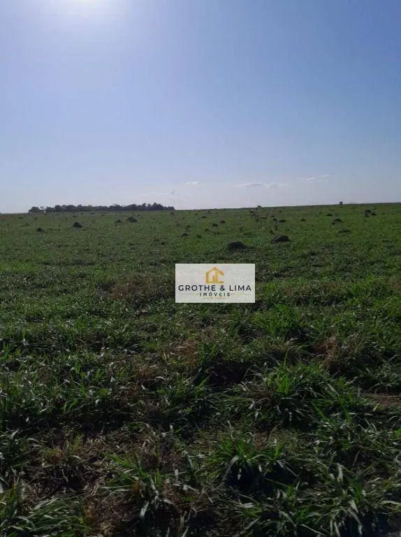 Fazenda à venda de 1.936 ha em Peixe, TO, Brasil
