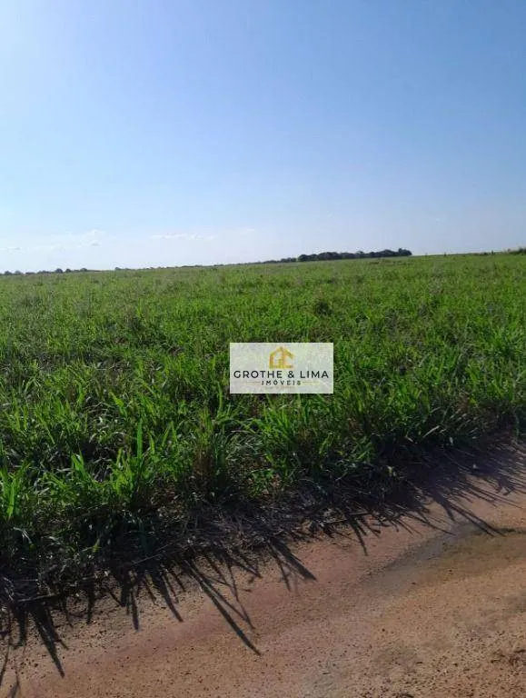 Fazenda à venda de 1.936 ha em Peixe, TO, Brasil
