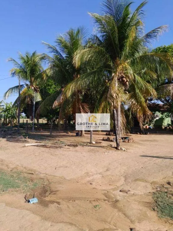 Fazenda à venda de 1.936 ha em Peixe, TO, Brasil