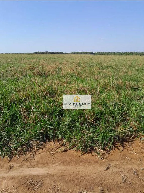 Fazenda à venda de 1.936 ha em Peixe, TO, Brasil