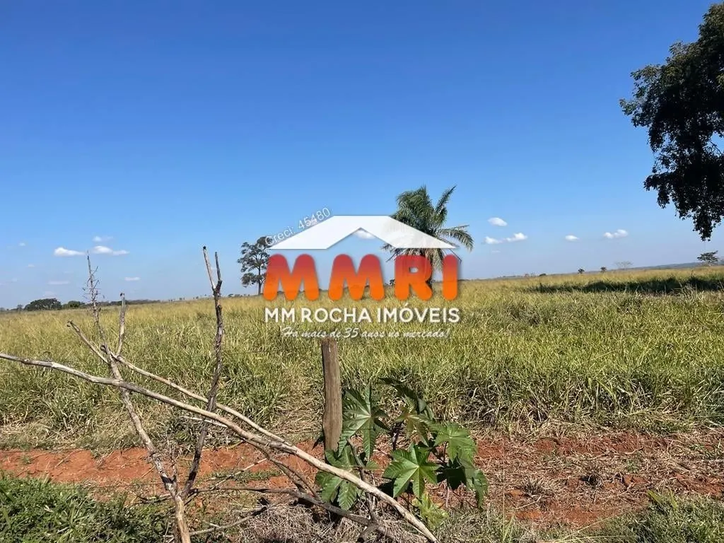 Fazenda à venda de 513 ha em Santa Fé do Sul, SP, Brasil