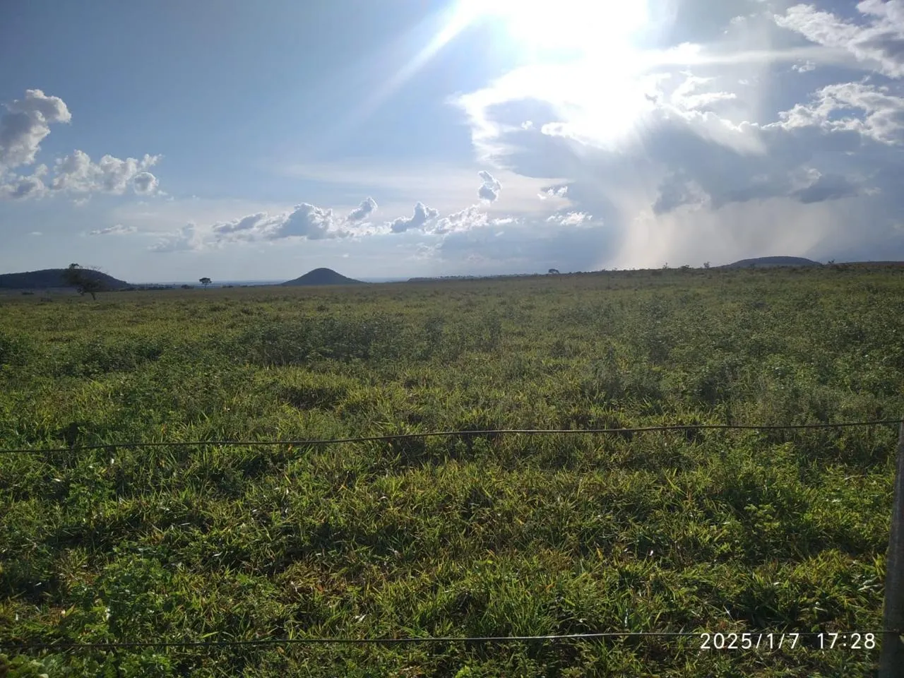 Fazenda à venda de 334 ha em Camapuã, MS, Brasil