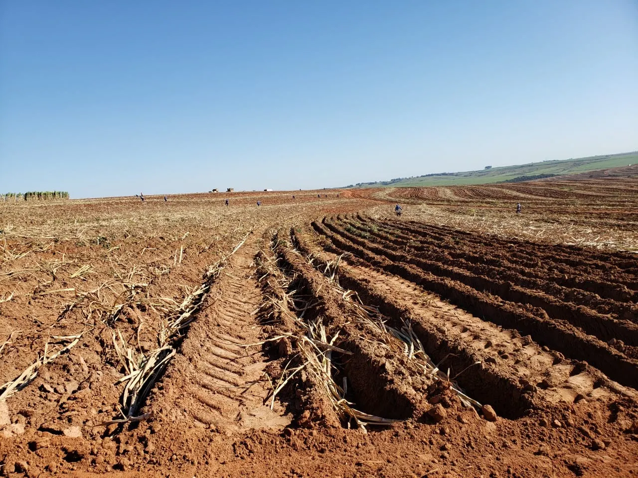 Fazenda à venda de 2.979 ha em Presidente Prudente, SP, Brasil