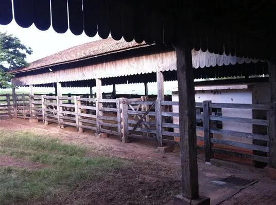Fazenda à venda de 2.979 ha em Presidente Prudente, SP, Brasil
