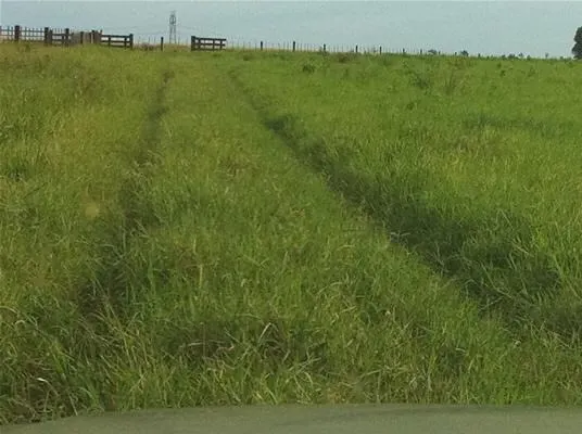 Fazenda à venda de 2.979 ha em Presidente Prudente, SP, Brasil