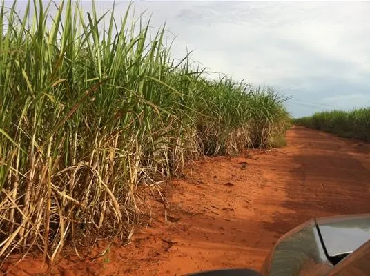 Fazenda à venda de 2.979 ha em Presidente Prudente, SP, Brasil