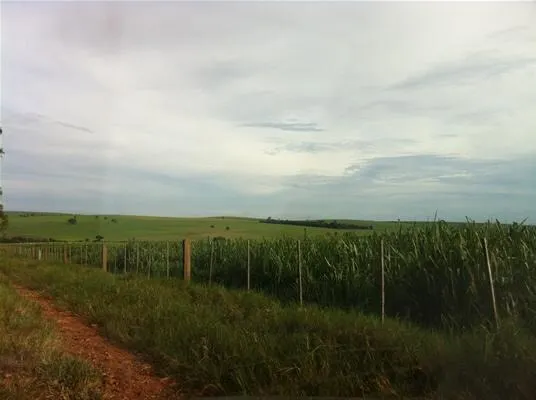 Fazenda à venda de 2.979 ha em Presidente Prudente, SP, Brasil