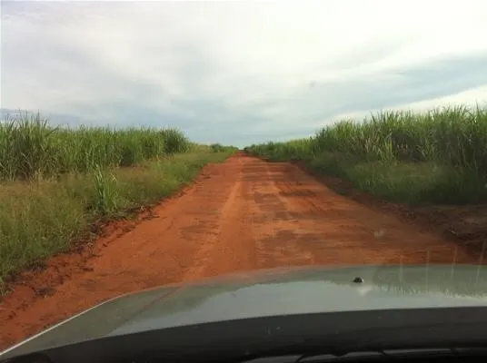 Fazenda à venda de 2.979 ha em Presidente Prudente, SP, Brasil