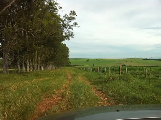 Fazenda à venda de 2.979 ha em Presidente Prudente, SP, Brasil
