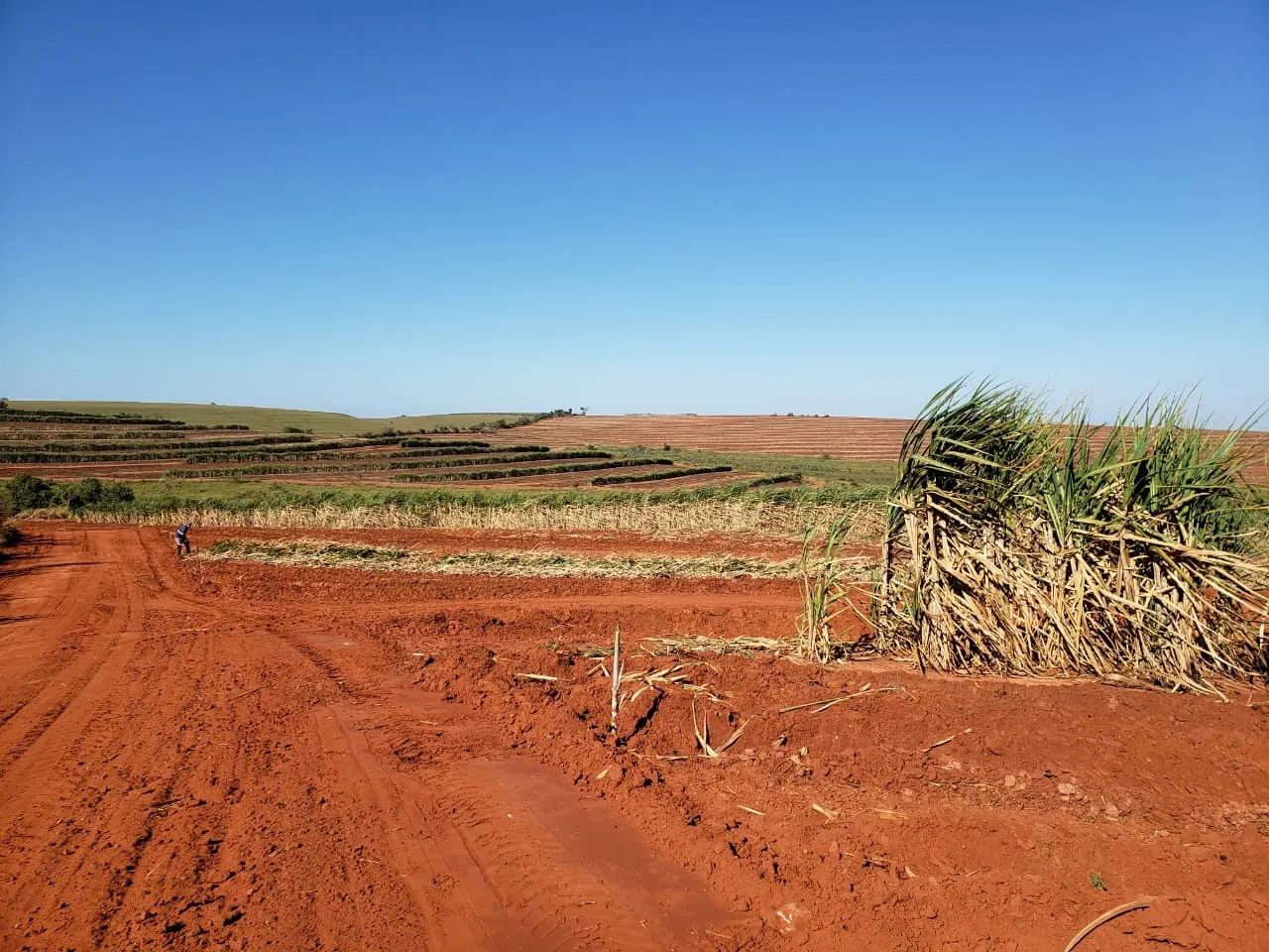 Fazenda à venda de 2.979 ha em Presidente Prudente, SP, Brasil