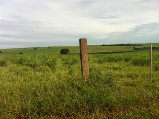 Fazenda à venda de 2.979 ha em Presidente Prudente, SP, Brasil