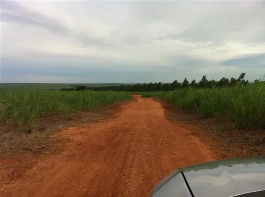 Fazenda à venda de 2.979 ha em Presidente Prudente, SP, Brasil