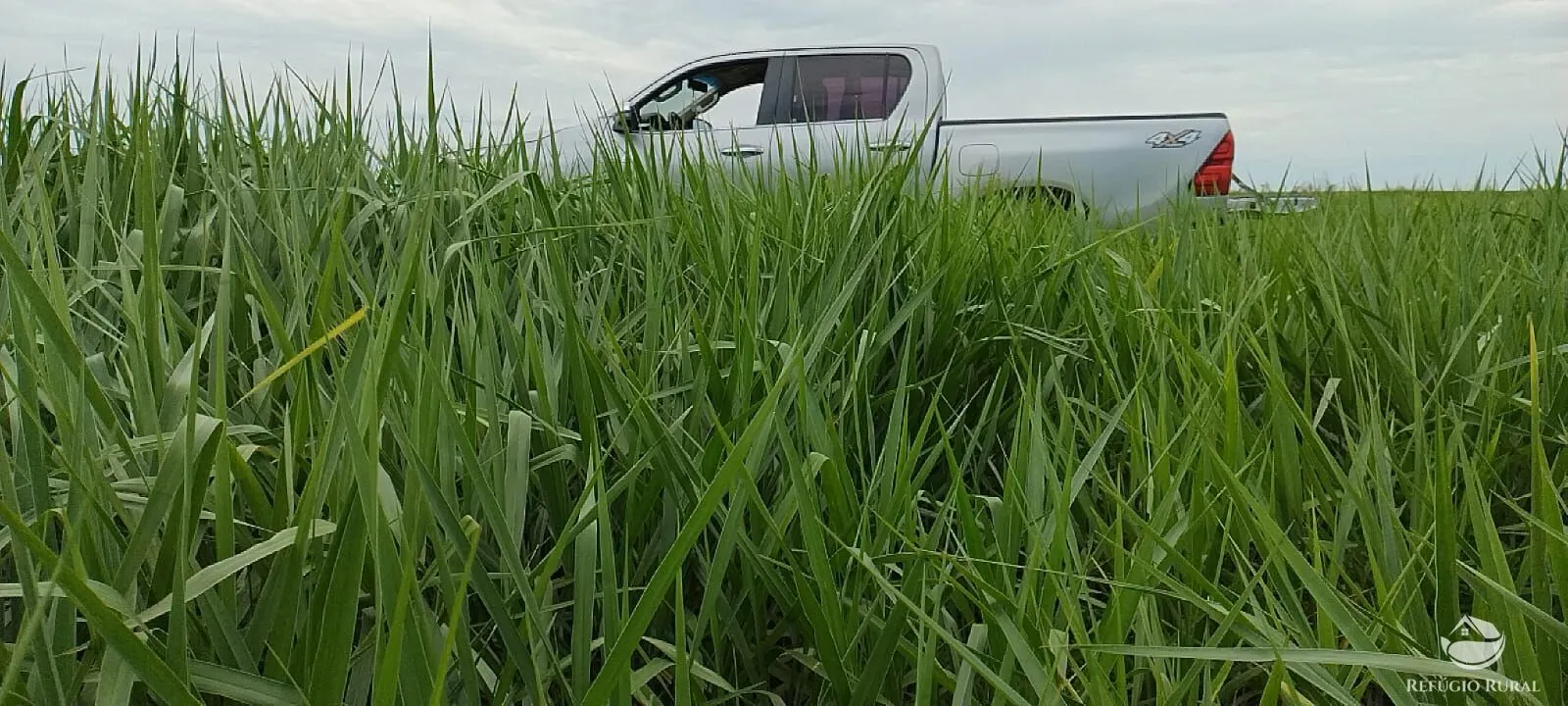 Fazenda à venda de 1.702 ha em Cassilândia, MS, Brasil