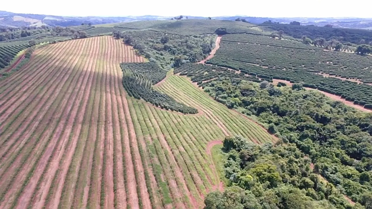 Fazenda à venda de 65 ha em Nepomuceno, MG, Brasil