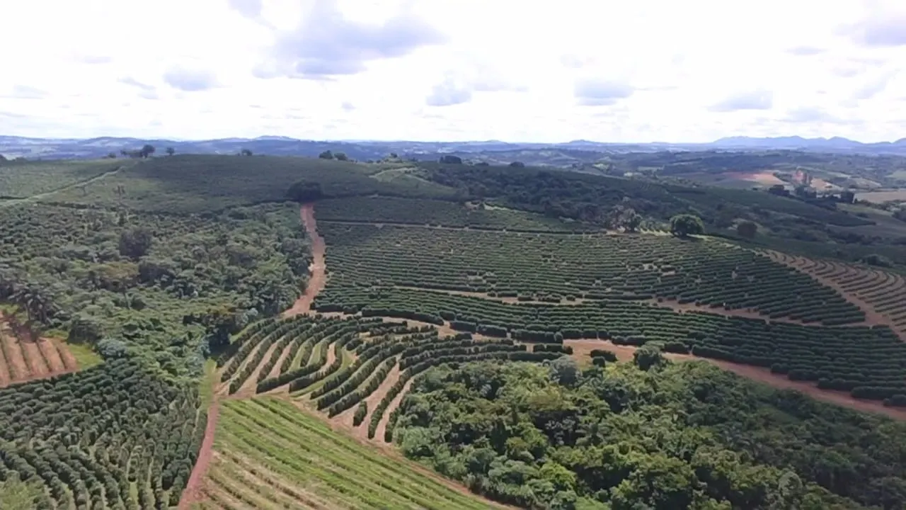 Fazenda à venda de 65 ha em Nepomuceno, MG, Brasil